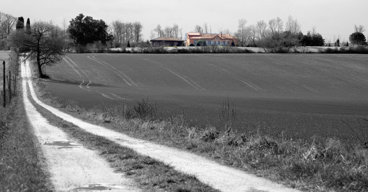 immobilier