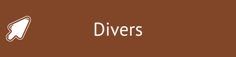 Divers